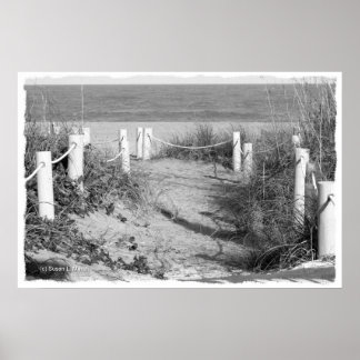 Póster BW Fort Pierce, duna caminante de la playa de Flor