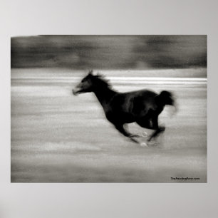 Póster BW Galloping Horse