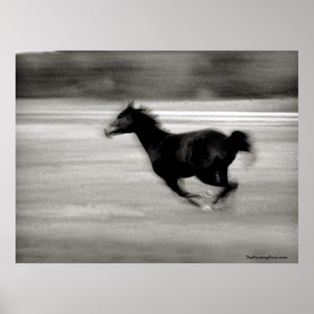 Póster BW Galloping Horse (Frente)