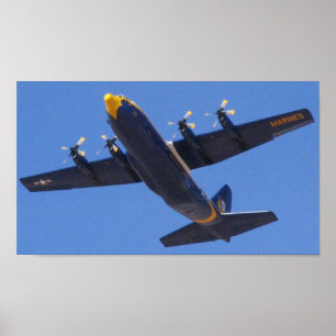 Póster C130 Grasa Albert