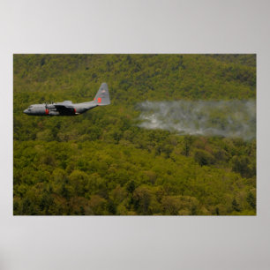 Póster C-130 Hércules