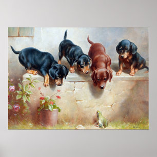 Póster C. Pintura de reichert de cachorros y ranas de Dac