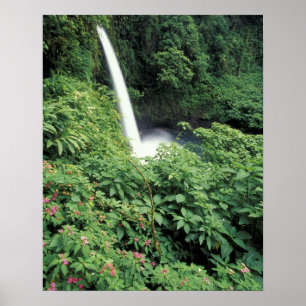 Póster CA, Costa Rica. Cascada La Paz y balsaminas