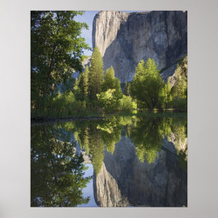 Póster CA, Parque Nacional Yosemite, El Capitán reflejado