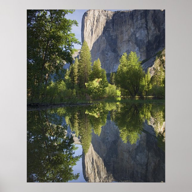 Póster CA, Parque Nacional Yosemite, El Capitán reflejado (Frente)