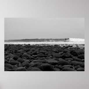 PÓSTER CABALLETES, PLAYA DE ESTADO DEL SAN ONOFRE, CA,