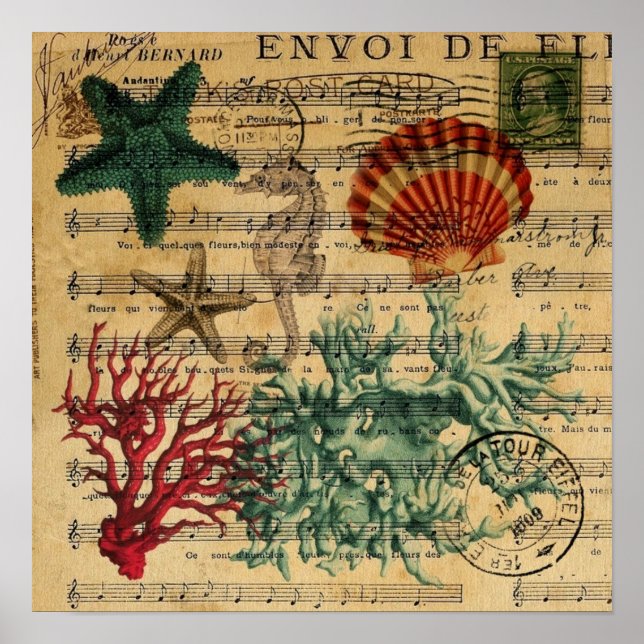 Póster caballito de mar de las estaciones de coral coster (Frente)