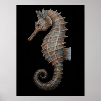 Póster Caballito de mar majestuoso