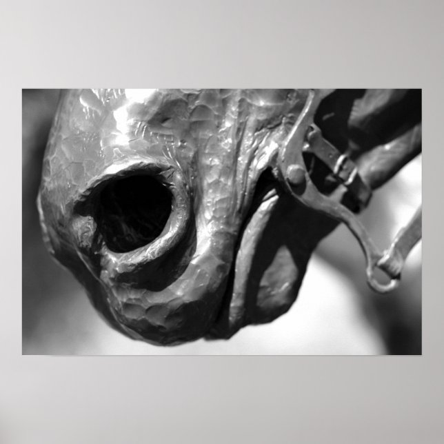 Póster Caballo (Frente)