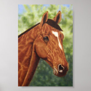 Póster Caballo
