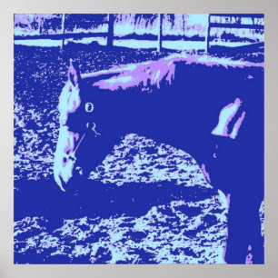 Póster Caballo