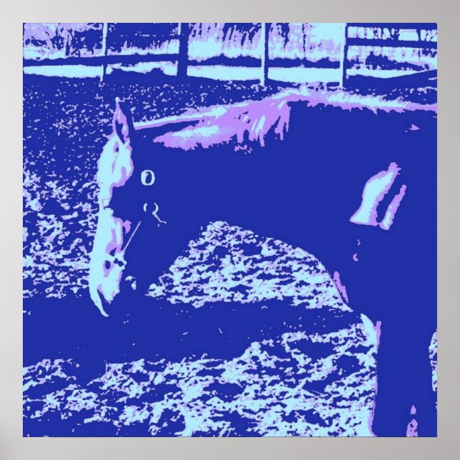 Póster Caballo (Frente)