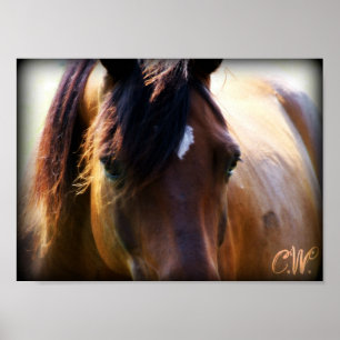 Póster caballo