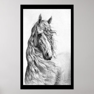 Póster Caballo