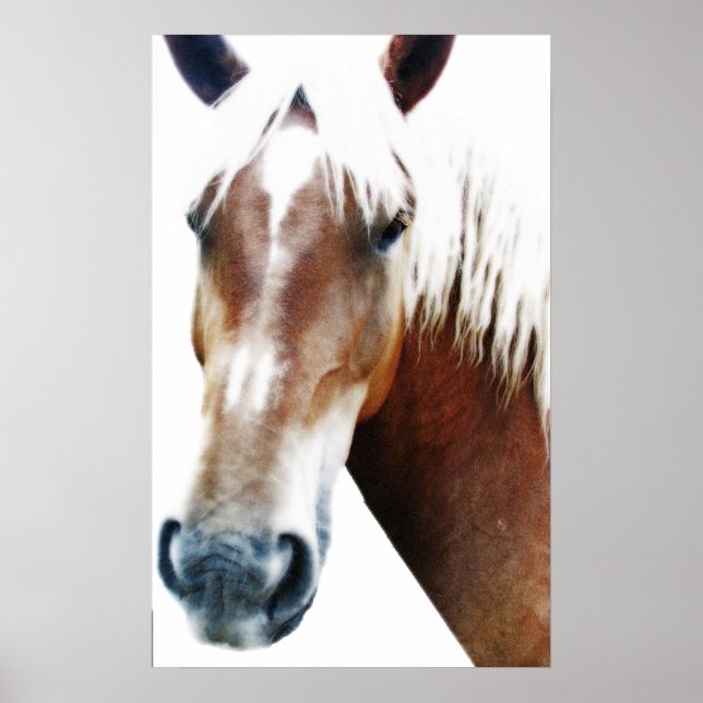 Póster Caballo (Frente)