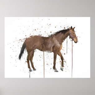 Póster Caballo