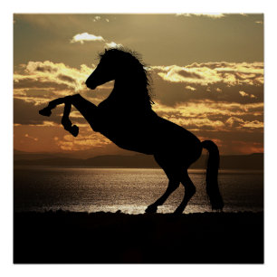 Póster caballo