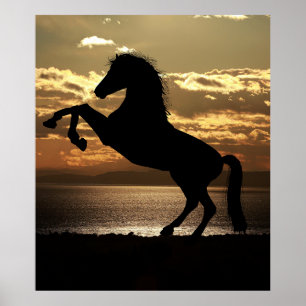Póster caballo