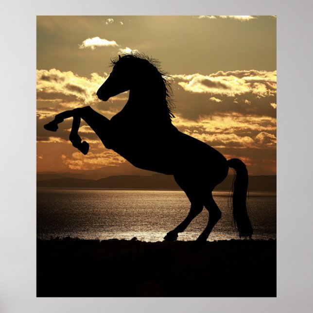 Póster caballo (Frente)