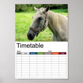 Póster Caballo 005 Horario