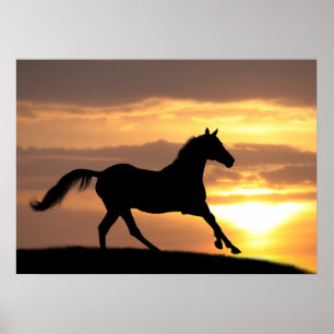 Póster Caballo al atardecer
