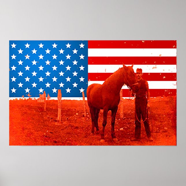 Póster Caballo americano (Frente)