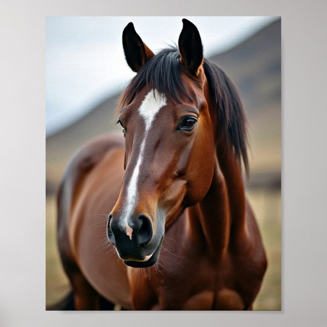 Póster Caballo americano (Frente)