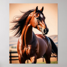 Caballo americano