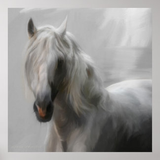 Póster Caballo andaluz