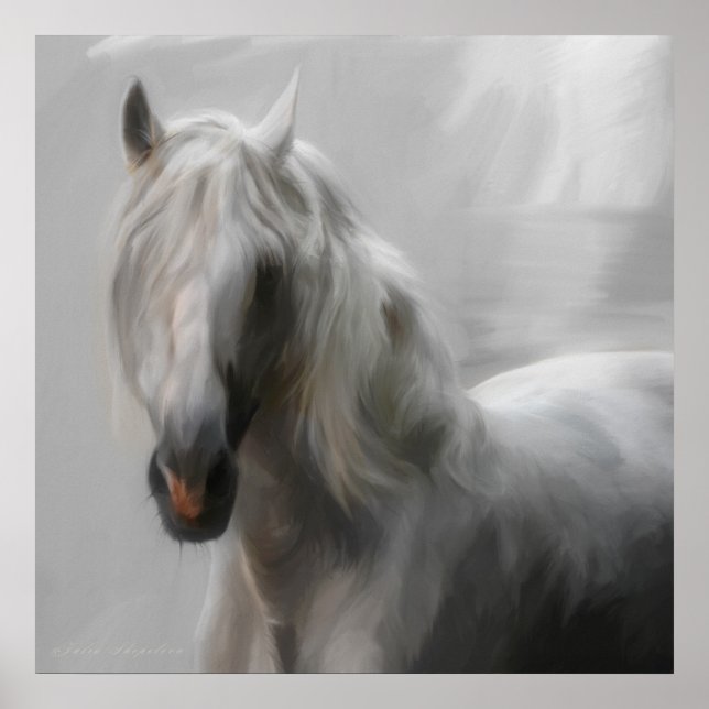 Póster Caballo andaluz (Frente)