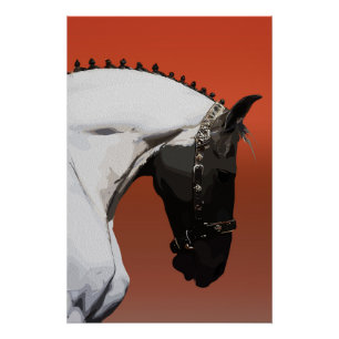 Póster Caballo Andaluz elegante - Arte Ecuestre Majestuos