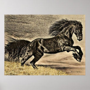 Póster Caballo antiguo de Stallion negro