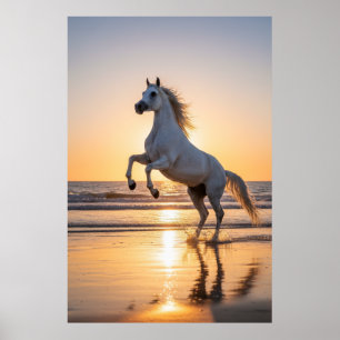 Póster Caballo Árabe Blanco Majestuoso en la puesta de so