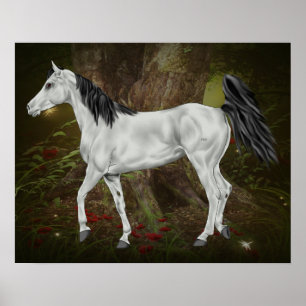 Póster Caballo Árabe Gris