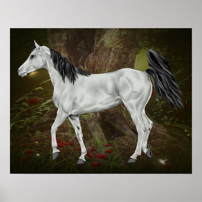 Póster Caballo Árabe Gris (Frente)