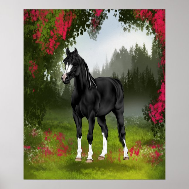 Póster Caballo Árabe Negro en Prado de Primavera (Frente)