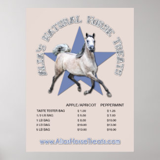 Póster Caballo árabe - Tratamientos naturales de caballos