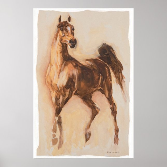Póster caballo arábigo (Frente)