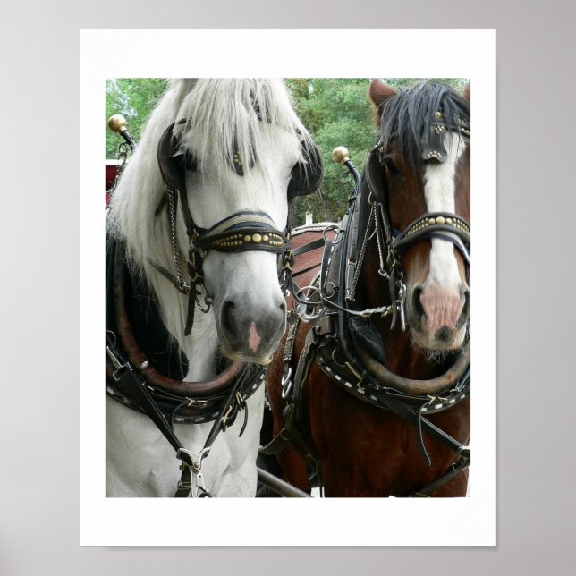 Póster Caballo arrastrado (Frente)