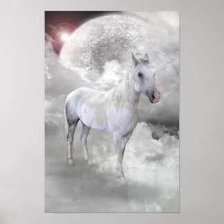 Póster Caballo blanco