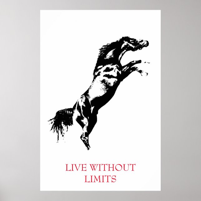 Póster Caballo blanco blanco y negro sin límites (Frente)