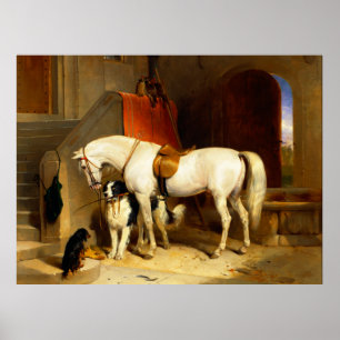 PÓSTER CABALLO BLANCO CON PERROS Y FALCONS EN ESTABLE