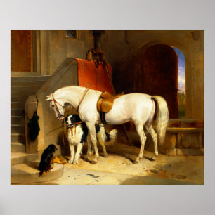 PÓSTER CABALLO BLANCO CON PERROS Y HALCONES EN CUADRA 