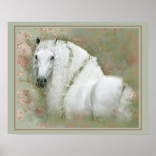 Póster Caballo blanco - Poster