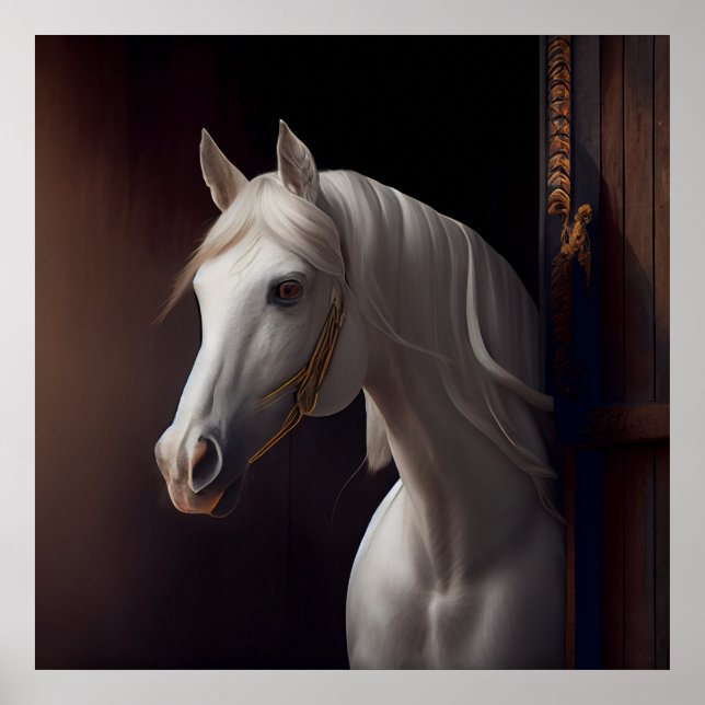 Póster Caballo blanco poster (Frente)
