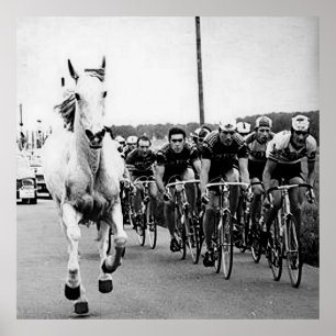 Póster Caballo Blanco Tour De Francia 1975 Color Redux