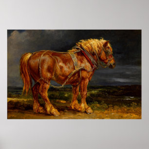 Póster Caballo Borrador