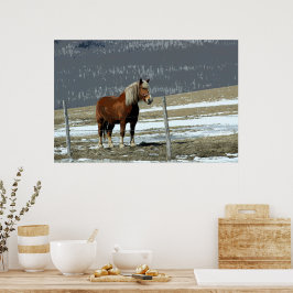 Póster Caballo Borrador Belga En Poster De Paddock