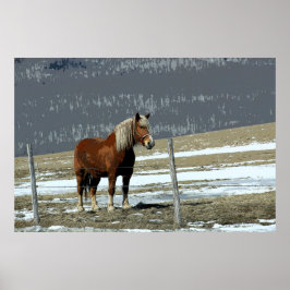 Póster Caballo Borrador Belga En Poster De Paddock