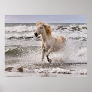Póster Caballo Camargue saliendo del oleaje